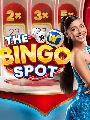 The Bingo Spot
